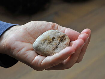 Baumstumpf in alten Laub Kraftstein in der Hand